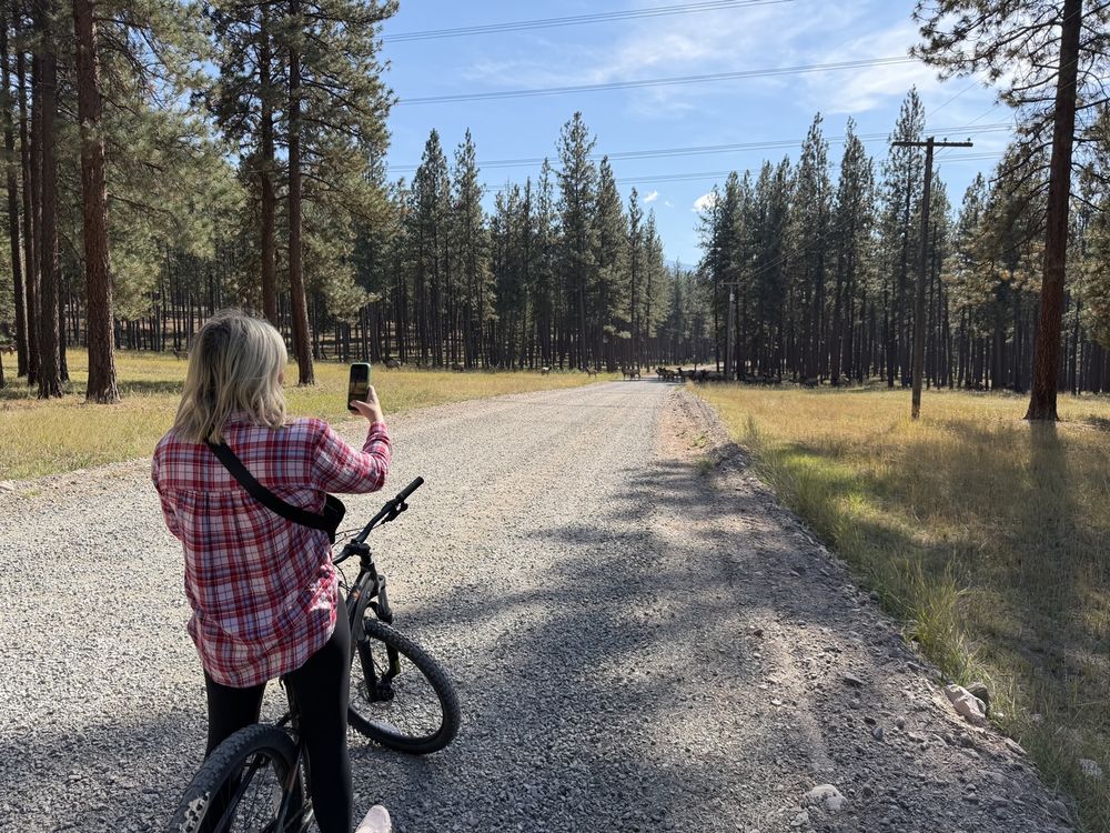 Adele with a mountain bike on a ranch road lined with pines