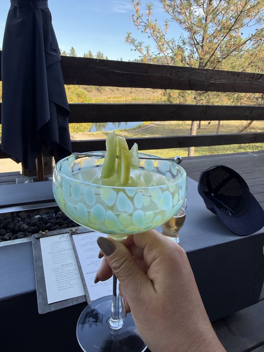 A cocktail on the deck overlooking the lake